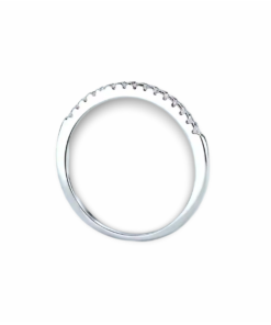 Pure Lure Moissanite Band