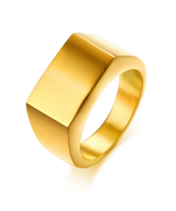 Solid Polished Titanium Ring