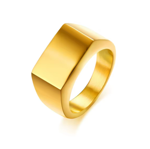 Solid Polished Titanium Ring