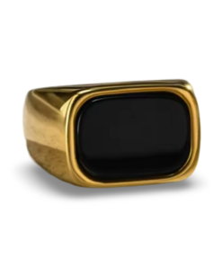 The Hidden Depths Titanium Ring