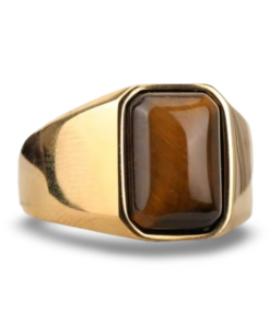 Tiger Eye Titanium Ring