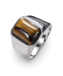 Tiger Eye Titanium Ring